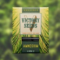 Victory Seeds - Amnesium