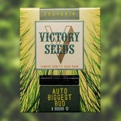 Victory Seeds - Auto Biggest Bud