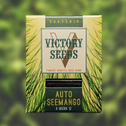 Victory Seeds - Auto Seemango