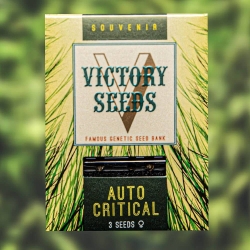 Victory Seeds - Auto Critical