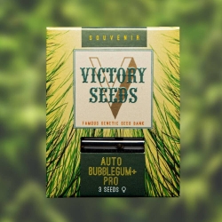 Victory Seeds - Auto Bubblegum+ Pro