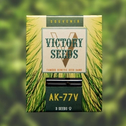 Victory Seeds - AK-77V