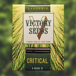 Victory Seeds - Critical