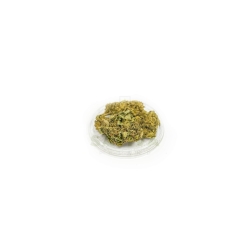 CBD Bubble Gum   
