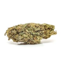 CBD Diesel Skunk   