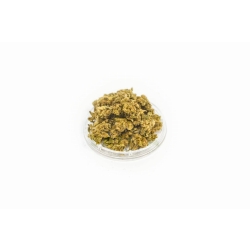 CBD Mango Kush   