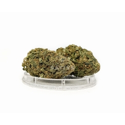 Susz konopny "Fruit Punch" 1g