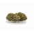 Susz konopny "Fruit Punch" 1g