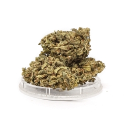 Susz konopny "Green Candy" 1g