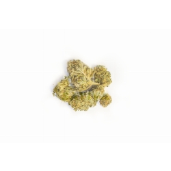 Susz konopny "Harlequin" 1g