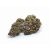 Susz konopny "Purple Bomb" 1g