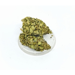 Susz konopny "Sweet Melon" 1g