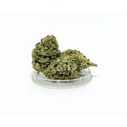 Susz konopny "Citron" 2g
