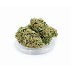 Susz konopny "Pineapple Express" 2g