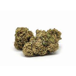 Susz konopny "Silver CBG" 2g