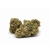 Susz konopny "Silver CBG" 2g